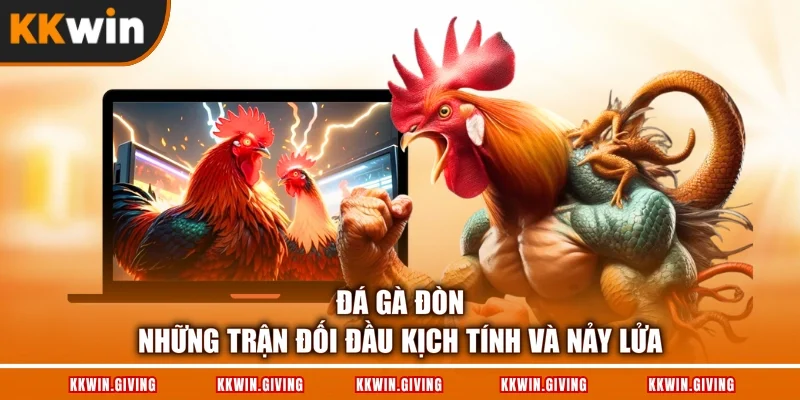 Đá Gà Đòn - Những Trận Đối Đầu Kịch Tính Và Nảy Lửa