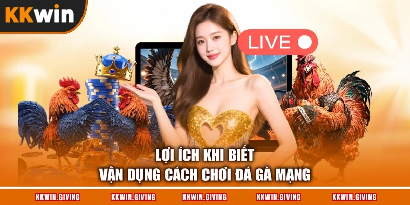 Lợi ích khi biết vận dụng cách chơi đá gà mạng