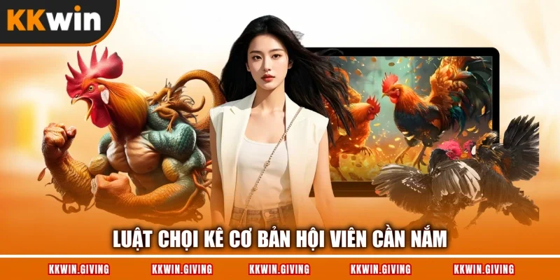 Luật chọi kê cơ bản hội viên cần nắm